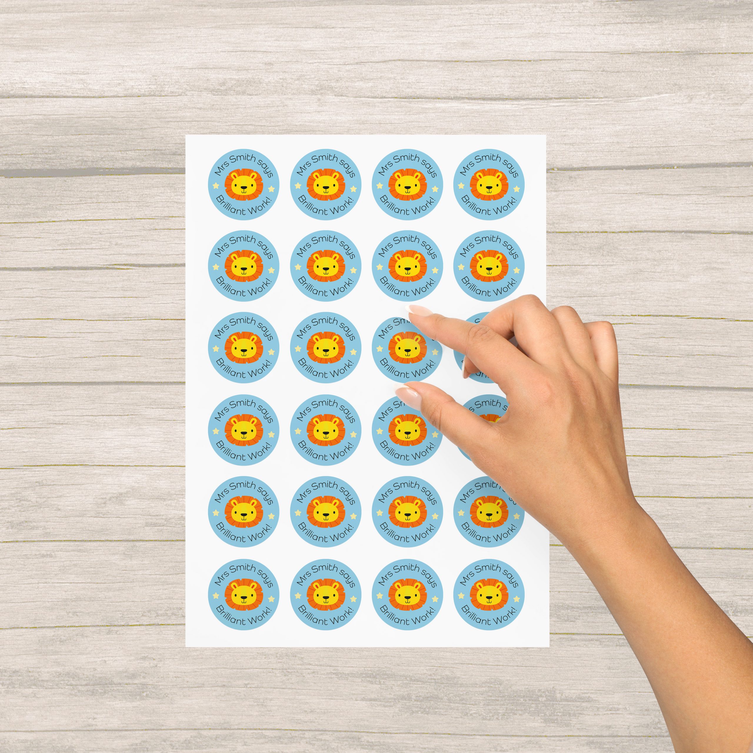 Personalised Teacher Praise Stickers, Cute Animal Stickers - Image 5